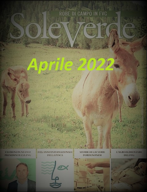 SOLEVERDE_02-2022 (2)