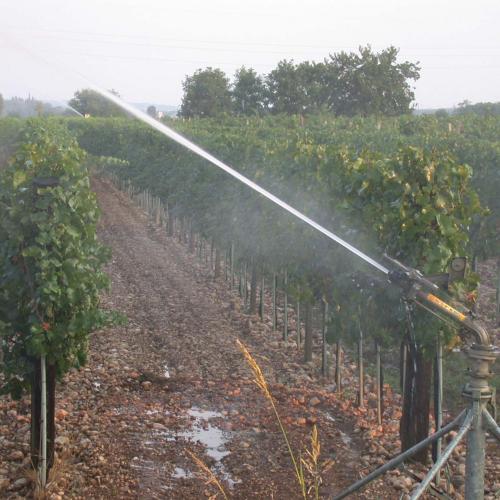 Vigneti_irrigazione-nel-Cormonese-10.8-1