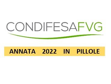 2022 IN PILLOLE