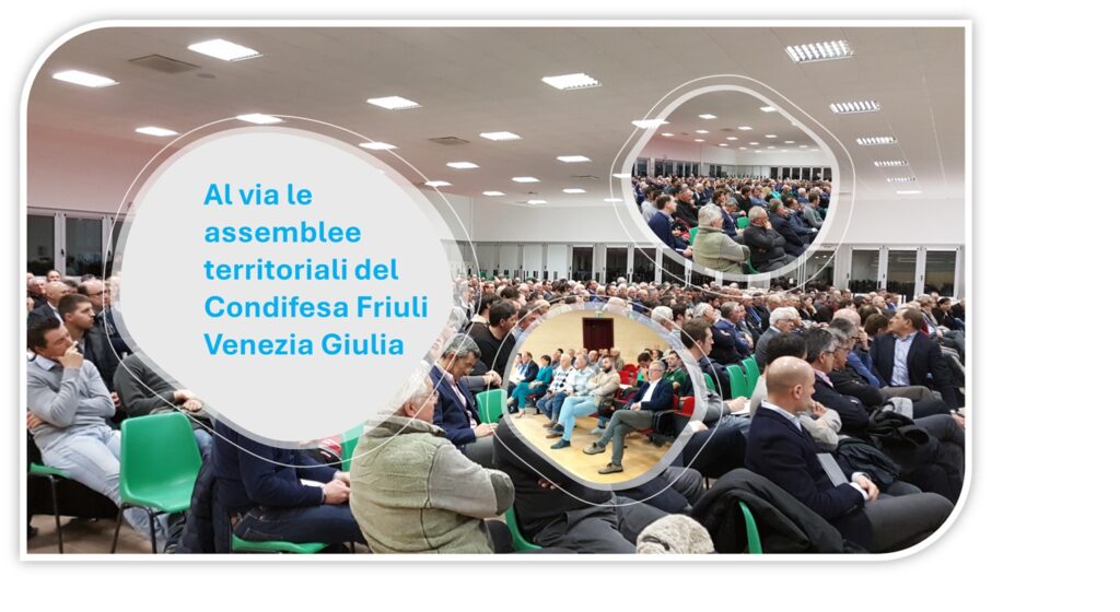 Assemblee 2025