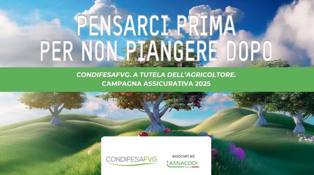 Brochure2025
